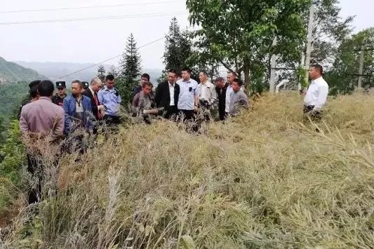 640.webp (7).jpg 640.webp (7).jpg